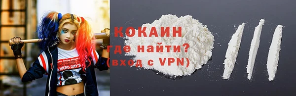 хмурый Белокуриха