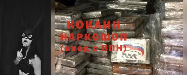 хмурый Белокуриха