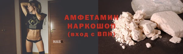 хмурый Белокуриха