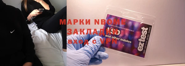 дмт Тайга