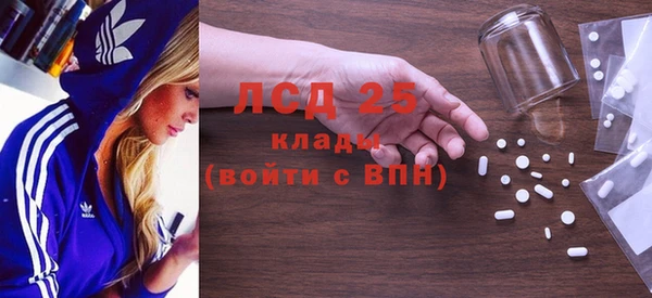 хмурый Белокуриха