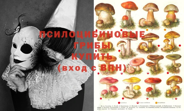 MESCALINE Беломорск