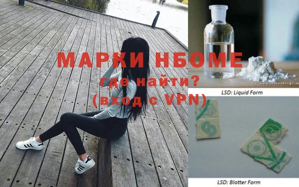 хмурый Белокуриха